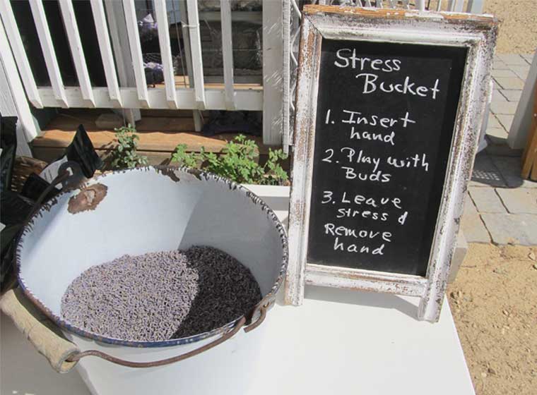 stress reducing bucket of lavender buds